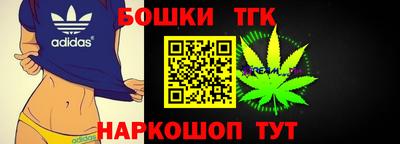 мдпв Татарск