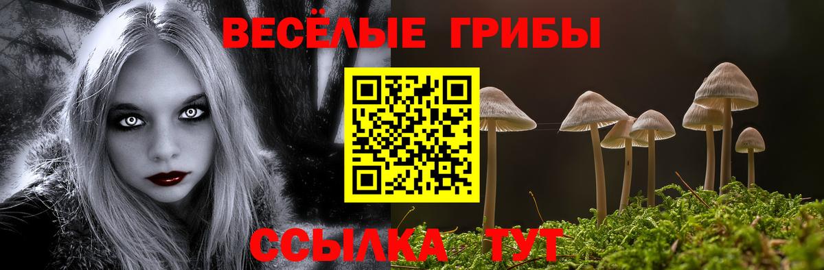 Галлюциногенные грибы MAGIC MUSHROOMS Новочебоксарск
