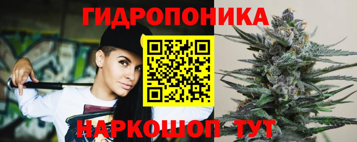 Бошки марихуана конопля Новочебоксарск